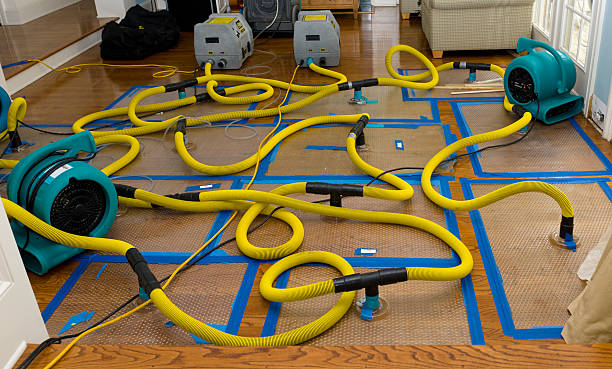 Professional Crawl Space Water Removal technician working in Palermo, NJ